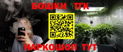 шишки Аргун