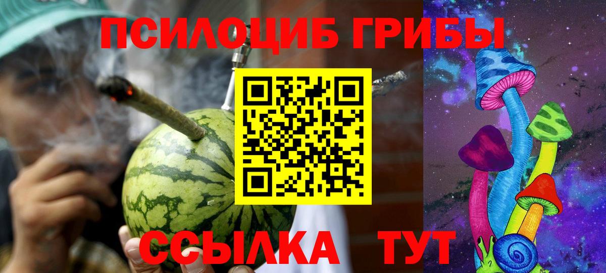 Псилоцибиновые грибы прущие грибы  Вход с VPN  Галлюциногенные грибы мицелий  Берёзовский 