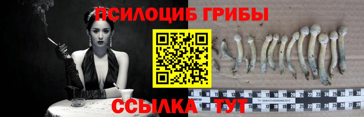  Кокаин Берёзовский